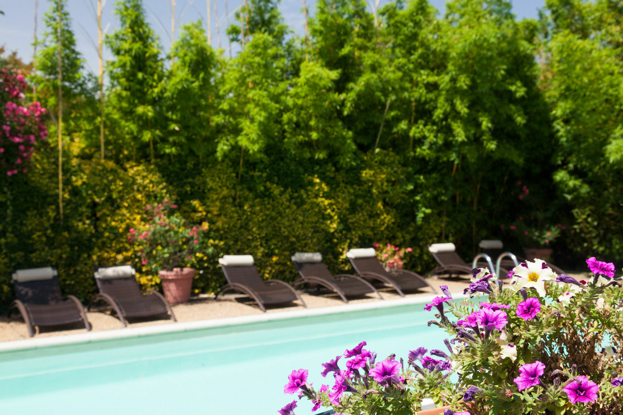 Logis Nimotel Cosy Hotel 3*